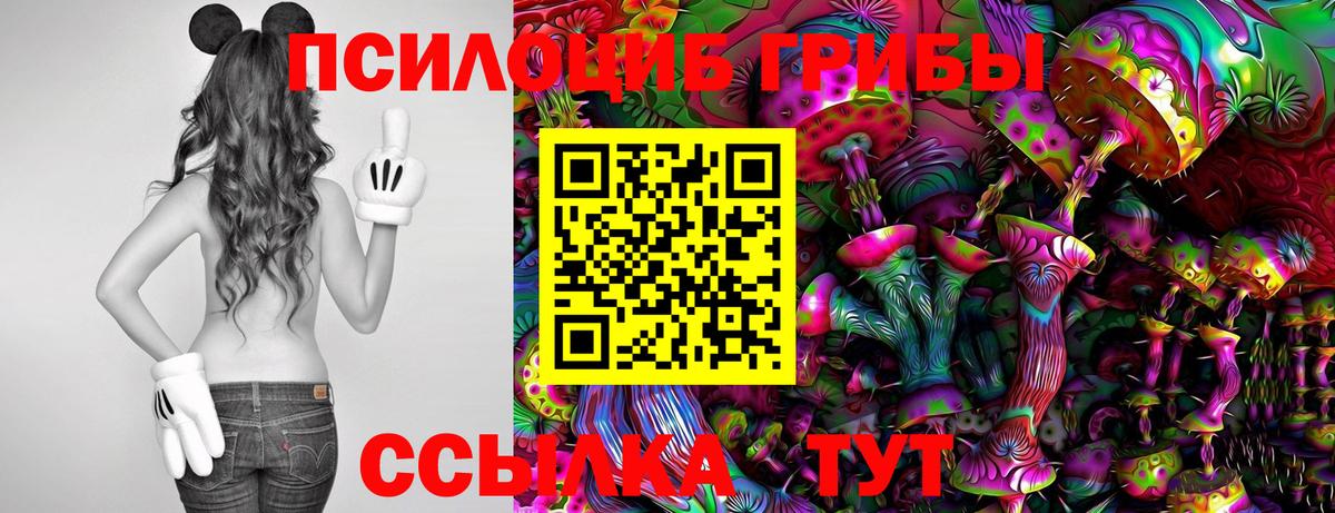 Галлюциногенные грибы Magic Shrooms  Вход с VPN  Гусиноозёрск  Псилоцибиновые грибы прущие грибы 