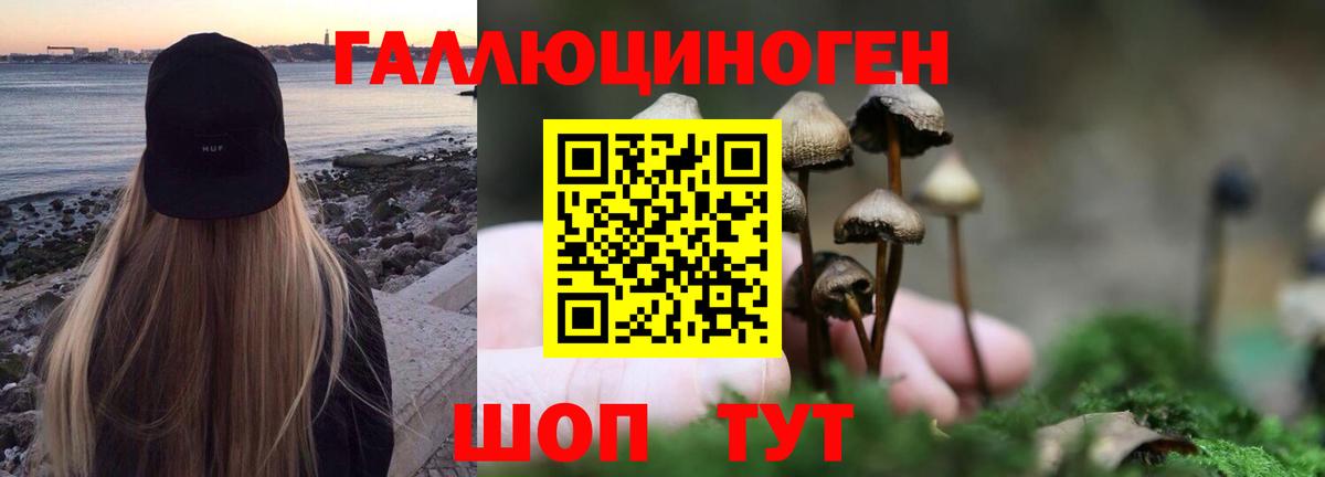 Галлюциногенные грибы MAGIC MUSHROOMS Гусиноозёрск
