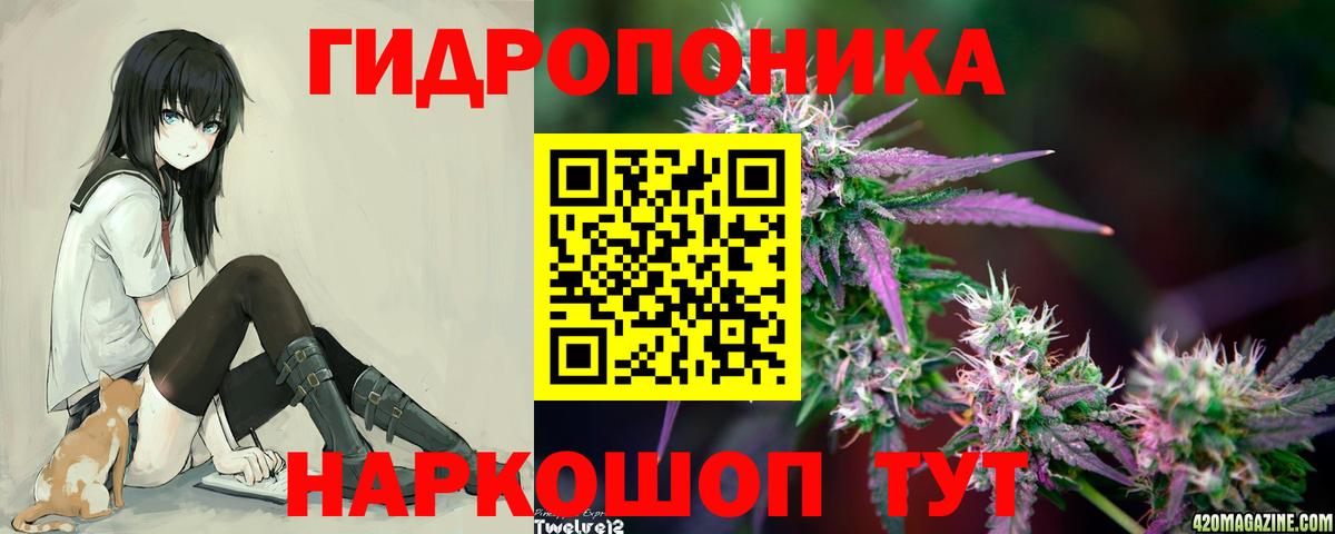 Шишки марихуана гибрид Гусиноозёрск